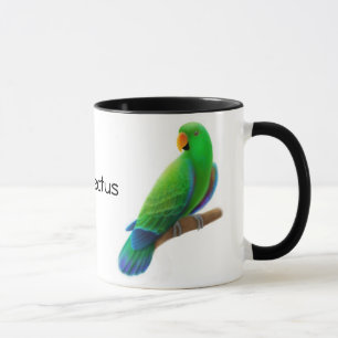 Eclectus plappert Tasse nach