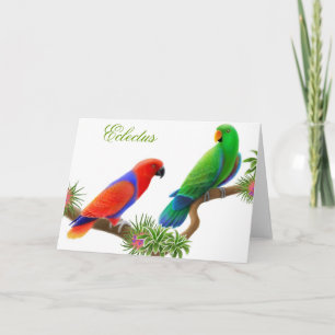 Eclectus Vogel-Gruß-Karte Karte