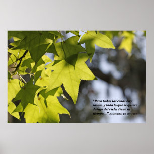 Eclesiastes 3:1betrug Hojas Poster