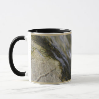 Eclipse Tasse