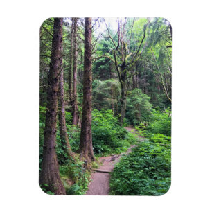 Ecola Staat Park, Cannon Beach, Oregon Magnet