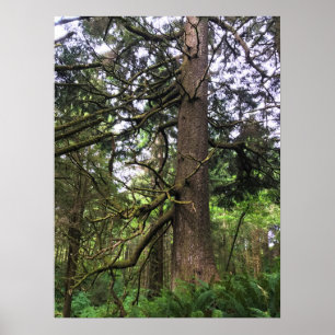 Ecola State Park, Cannon Beach Poster