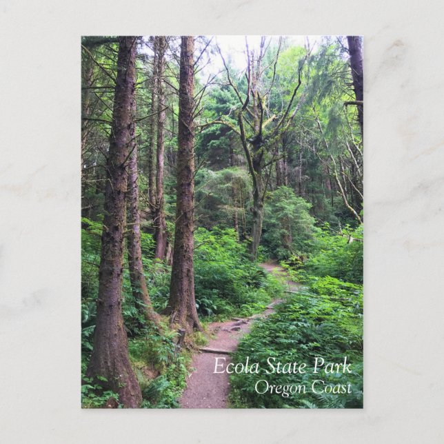 Ecola State Park, Cannon Beach Postkarte (Vorderseite)