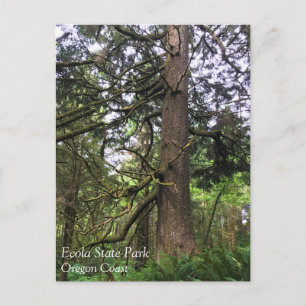 Ecola State Park, Cannon Beach Postkarte