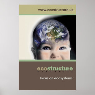 Ecostructure Plakat 24x36