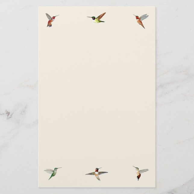 Ecru Hummingbird Stationery Paper Briefpapier (Vorderseite)