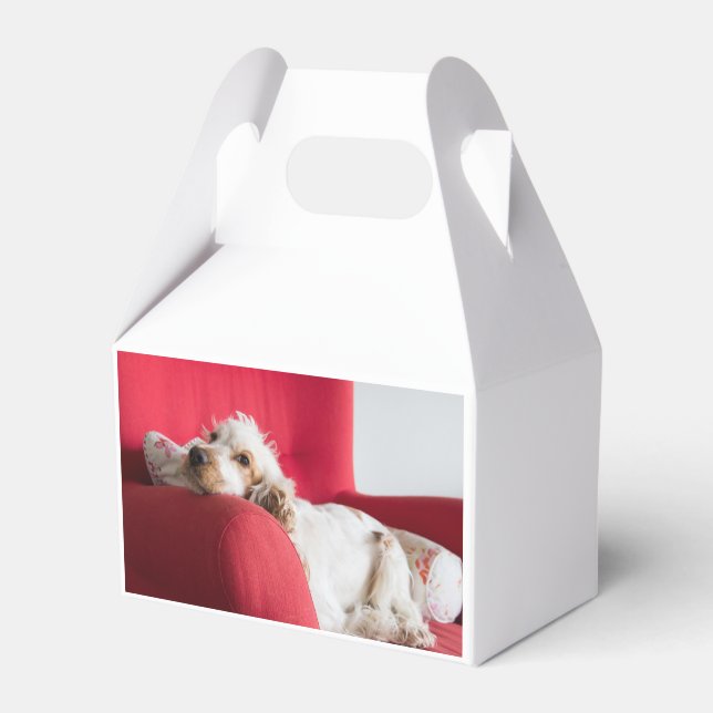 ECSorange-weiße Schüttelfrost Geschenkschachtel (Vorderseite)