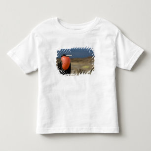 Ecuador, Galapagos, Genovesa-Insel. Prinz Kleinkind T-shirt