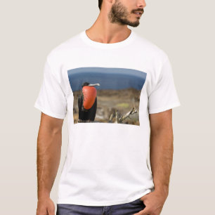 Ecuador, Galapagos, Genovesa-Insel. Prinz T-Shirt