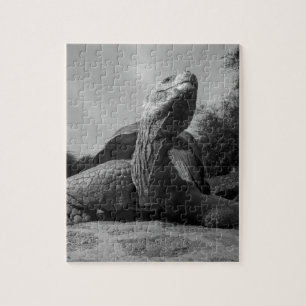 Ecuador, Galapagos Islands National Park, Santa Puzzle