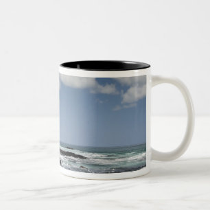 Ecuador, Galapagos, Santiago (auch James genannt). Zweifarbige Tasse