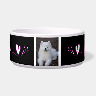 Ecuelle, Hundehütte, Katze, Tier von c Napf