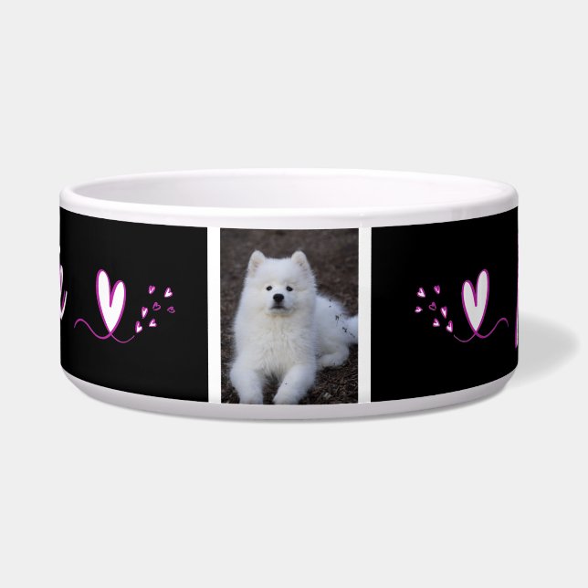 Ecuelle, Hundehütte, Katze, Tier von c Napf (Vorderseite)