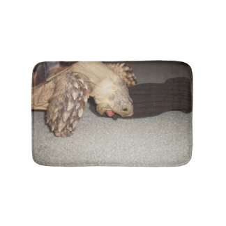 Ed and the Sock, Sulcata Tortoise Badematte