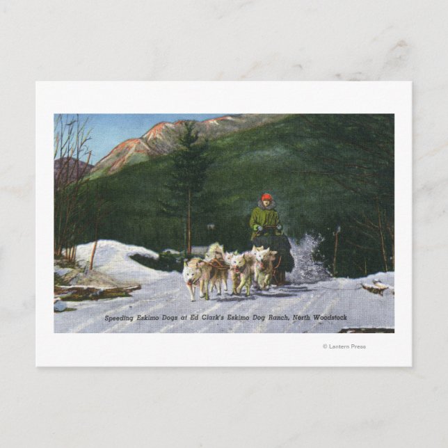 Ed Clarks Eskimo Dog Ranch, Dogsleding Postkarte (Vorderseite)