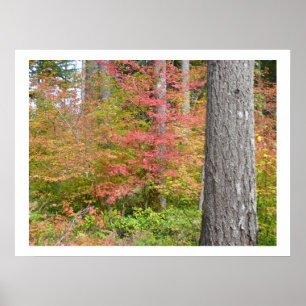 Ed Sutton - Fall-Baum Poster