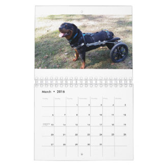 Eddie Räder 2016 Kalender
