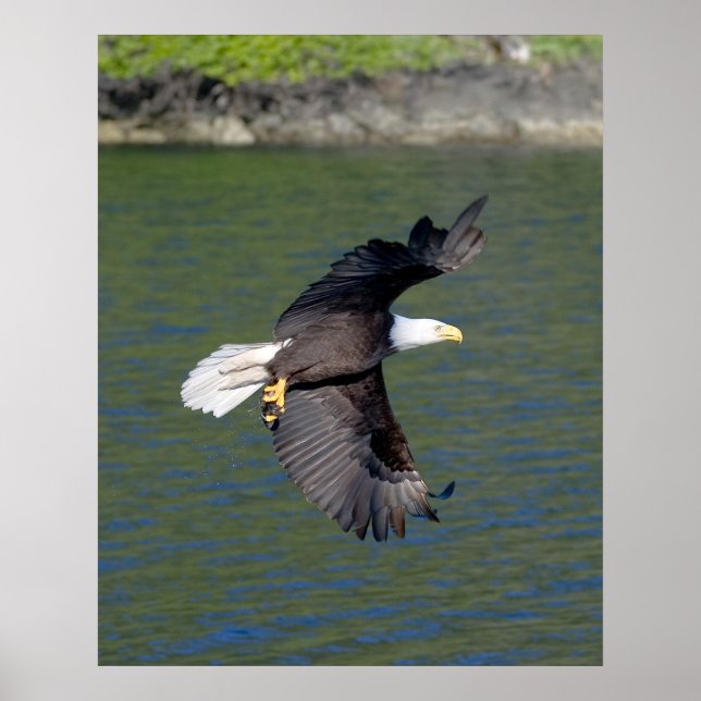 EDELFLUG POSTER (Vorne)