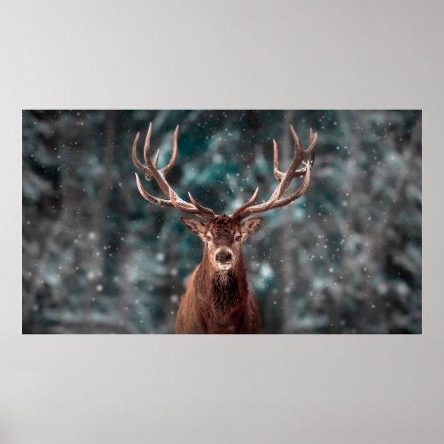 Edelhirsche männlich im Winterschneewald. Künstler Poster (Vorne)