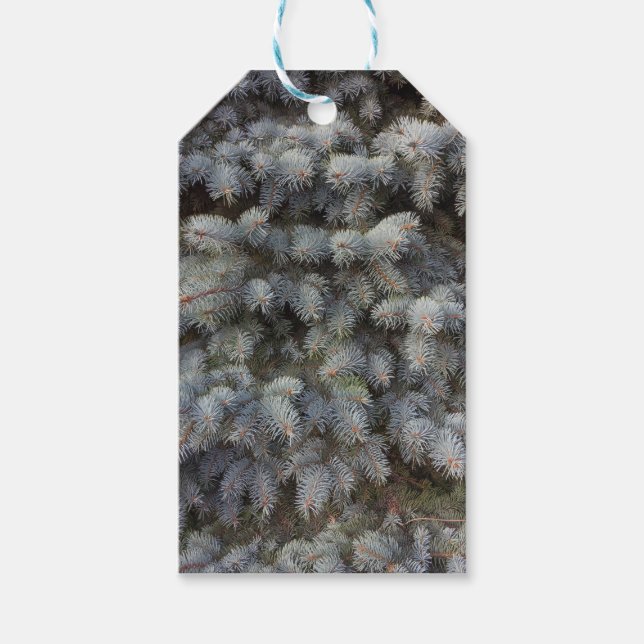 Edelstahl, grau, grün und blau, klassisch geschenkanhänger (Vorderseite)