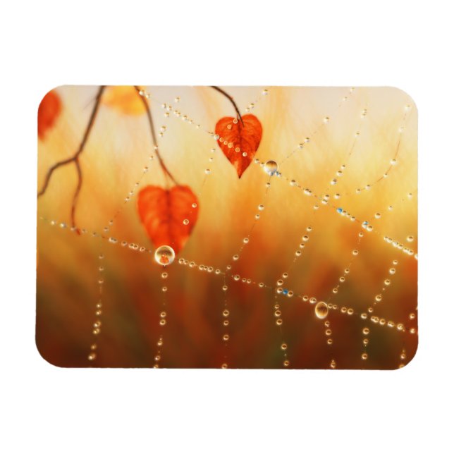 Edelsteine eines flexiblen Magazins Magnet (Horizontal)