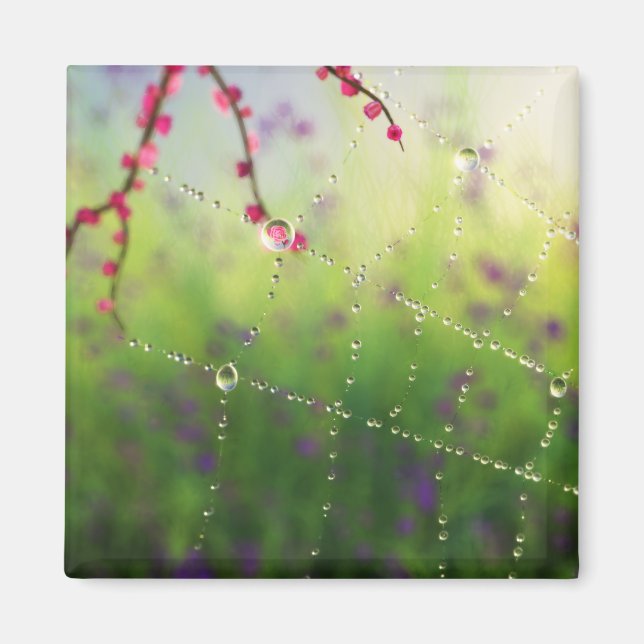 Edelsteine eines Frühjahrsmagnet Magnet (Vorne)