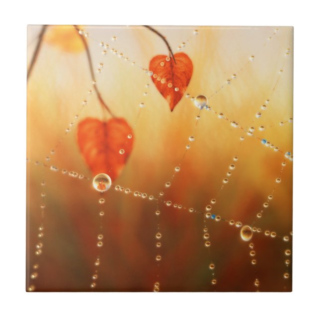 Edelsteine eines Herbstvormittags dekorative Tile  Fliese (Vorderseite)