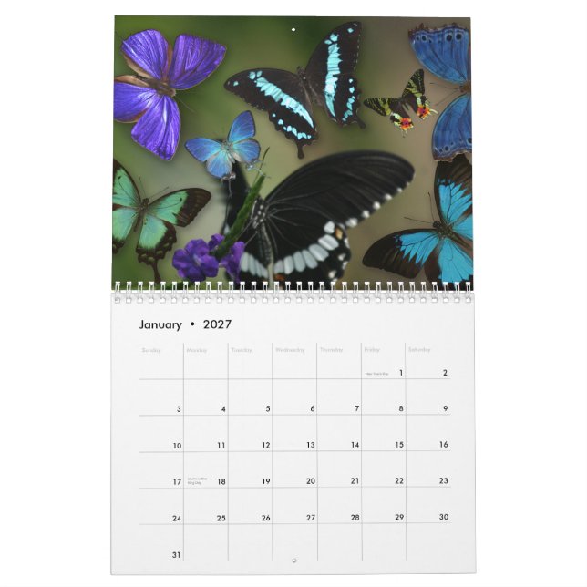 Edelsteine Kalender (Jan 2027)