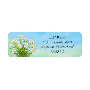 Edelweiss alpine Blumen-Aufkleber