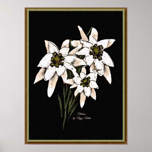 Edelweiss Artwork Print Poster (Vorne)