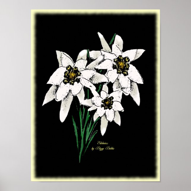 Edelweiss Artwork Print Poster (Vorne)