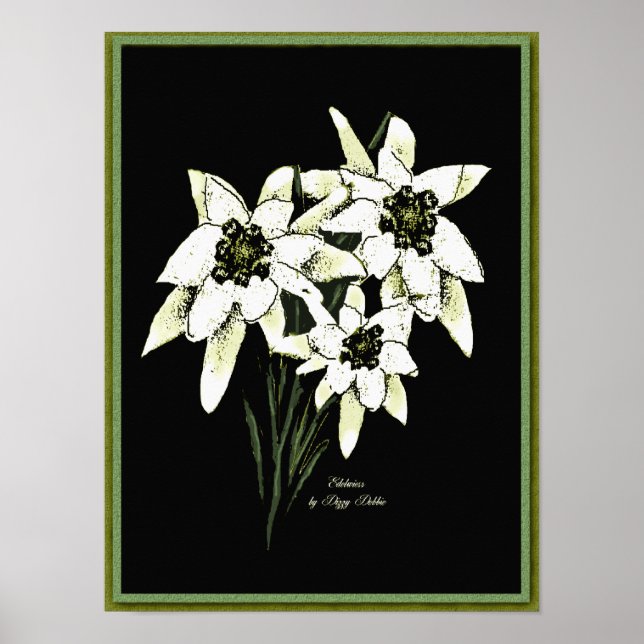 Edelweiss Artwork Print Poster (Vorne)