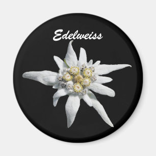 Edelweiss Blume Bloom Magnet