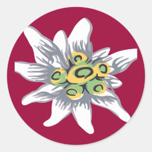 Edelweiss-Blume Runder Aufkleber