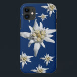 Edelweiss Fall auf dunkelblauem Hintergrund iPhone 11 Hülle<br><div class="desc">Edelweiss Blume vom Alpes auf einem dunkelblauen Hintergrund</div>