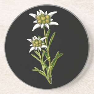 Edelweiss Floral Untersetzer