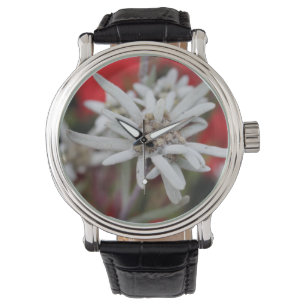 Edelweiss Leontopodium nivale Armbanduhr