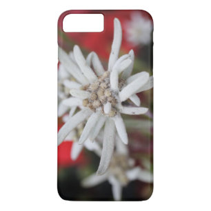 Edelweiss Leontopodium nivale Case-Mate iPhone Hülle