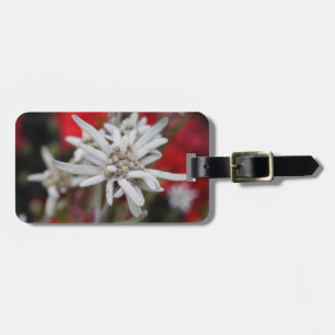 Edelweiss Leontopodium nivale Gepäckanhänger