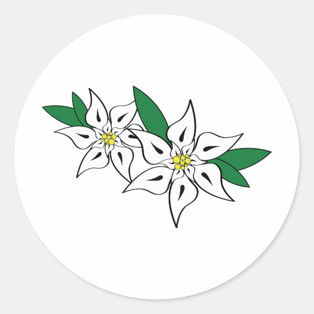 Edelweiss Runder Aufkleber (Vorderseite)
