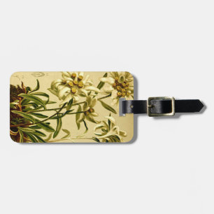 Edelweiss Umbau Gepäckanhänger