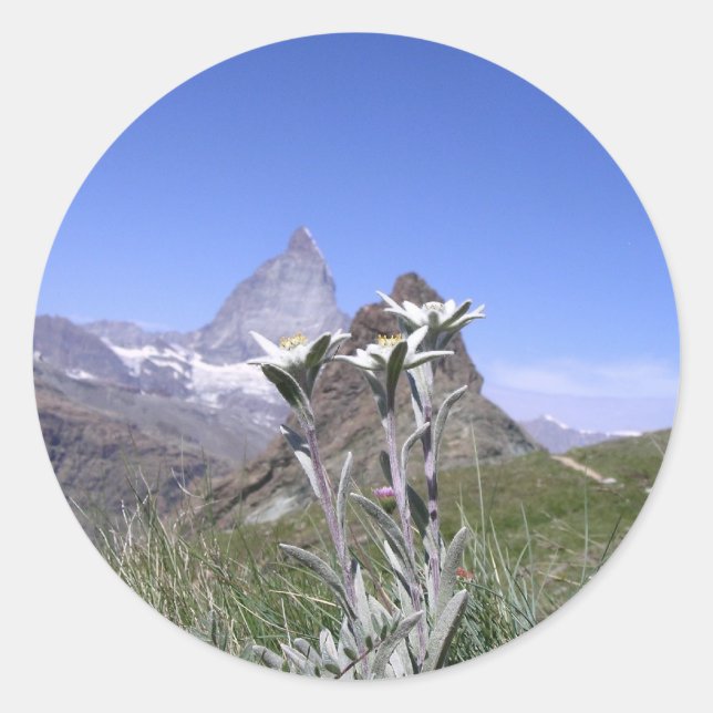 Edelweiss und Matterhorn Runder Aufkleber (Vorderseite)