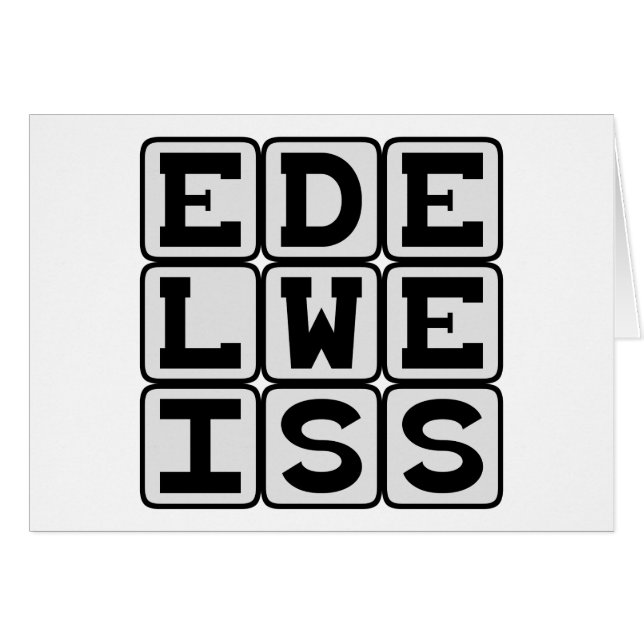 Edelweiß, weiße Blume (Vorderseite (Horizontal))