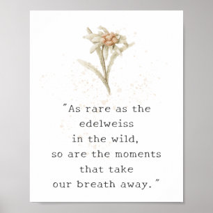 Edelweiss Wildblume Poster