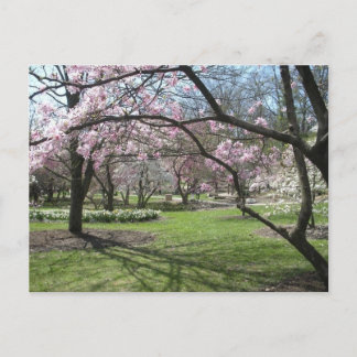 Eden Park Cincinnati, Ohio im Frühjahr Postkarte