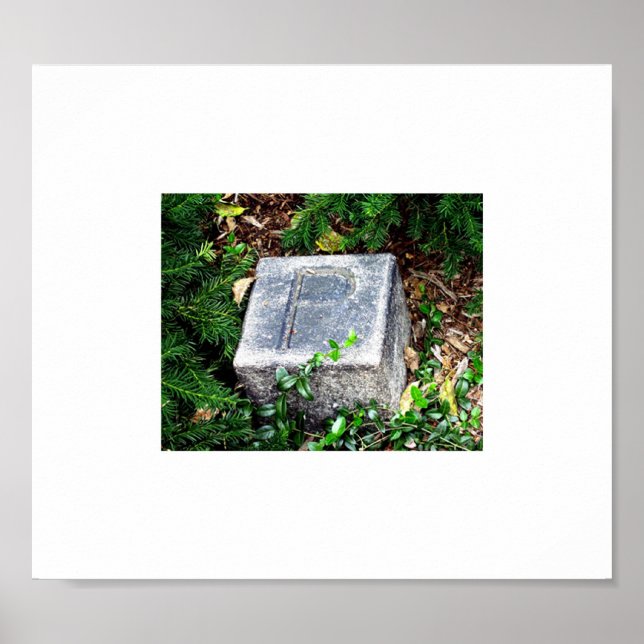 EDGAR ALLAN POE FOOT MARKER BALTIMORE MD 021911 POSTER (Vorne)