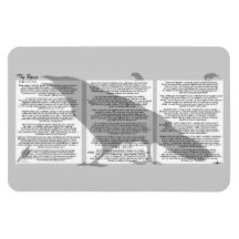 Edgar Allan Poe The Raven