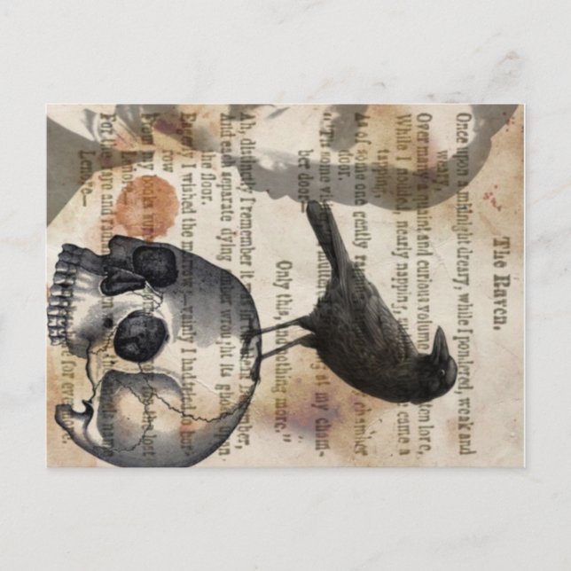 Edgar Allan Poe The Raven Skull and Bird Postkarte (Vorderseite)