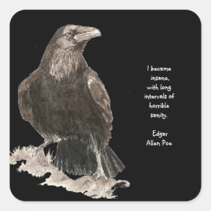 Edgar Allen Poe Insanity Quote Watercolor Raven Quadratischer Aufkleber