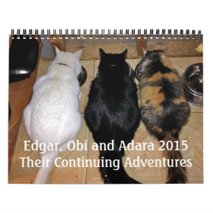 Edgar, Obi und Adara Katzen-Kalender 2015 Kalender